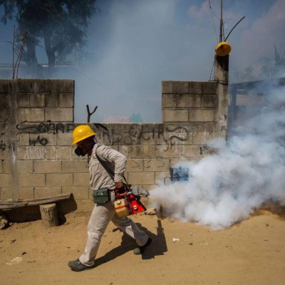  ¿Qué hace el gobierno mexicano para combatir al zika?