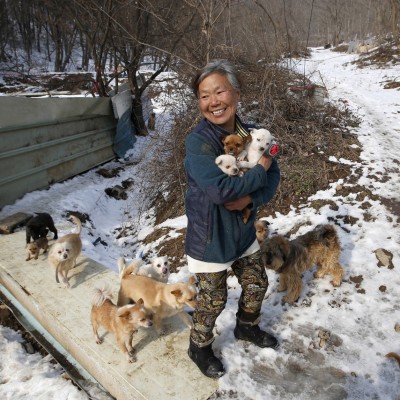  Mujer rescata a 200 perros que serían vendidos para consumo humano