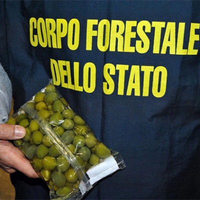  “Indigestión” mundial por comida adulterada: confiscan 10 mil toneladas en 57 países
