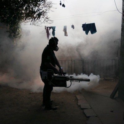  Confirman 151 casos de zika en el país; 25 en embarazadas