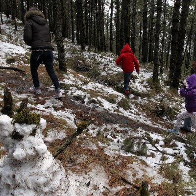  Continuarán vientos fuertes y nieve para el noreste del país