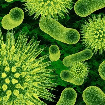  Alertan sobre aumento de muertes por resistencia a bacterias