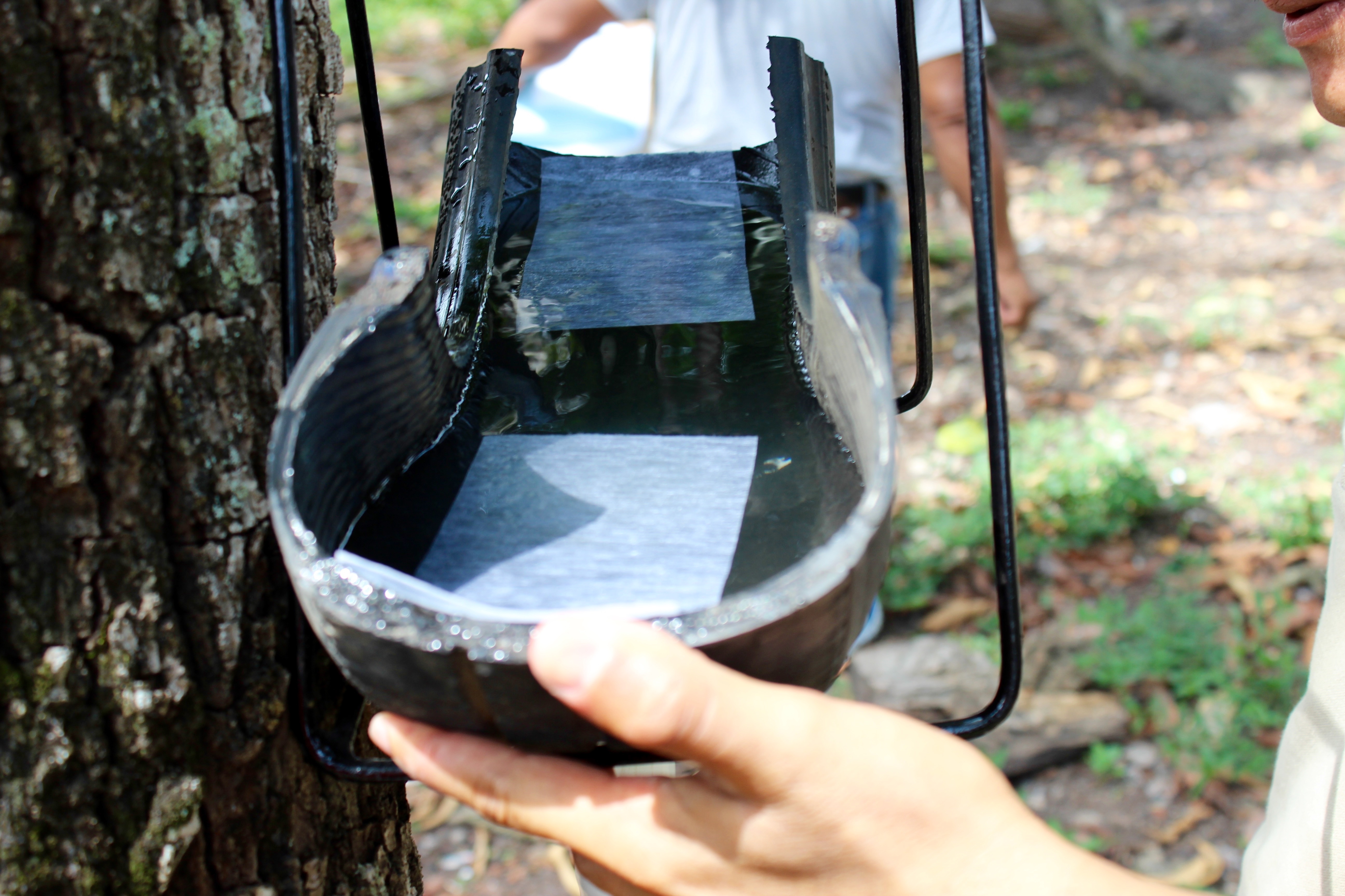  Combaten el zika con neumáticos