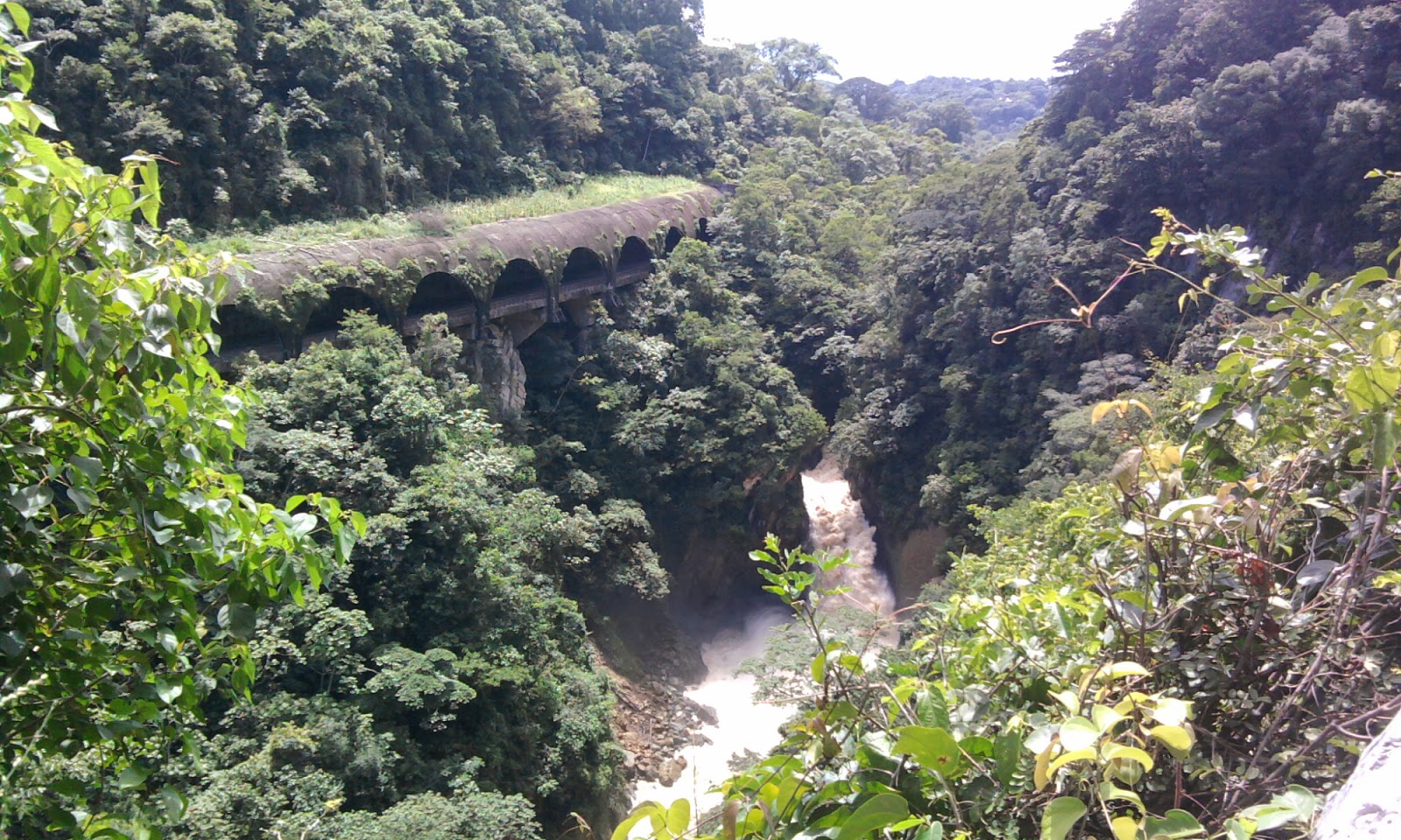  Dos ríos más de Veracruz están por desaparecer, advierten especialistas