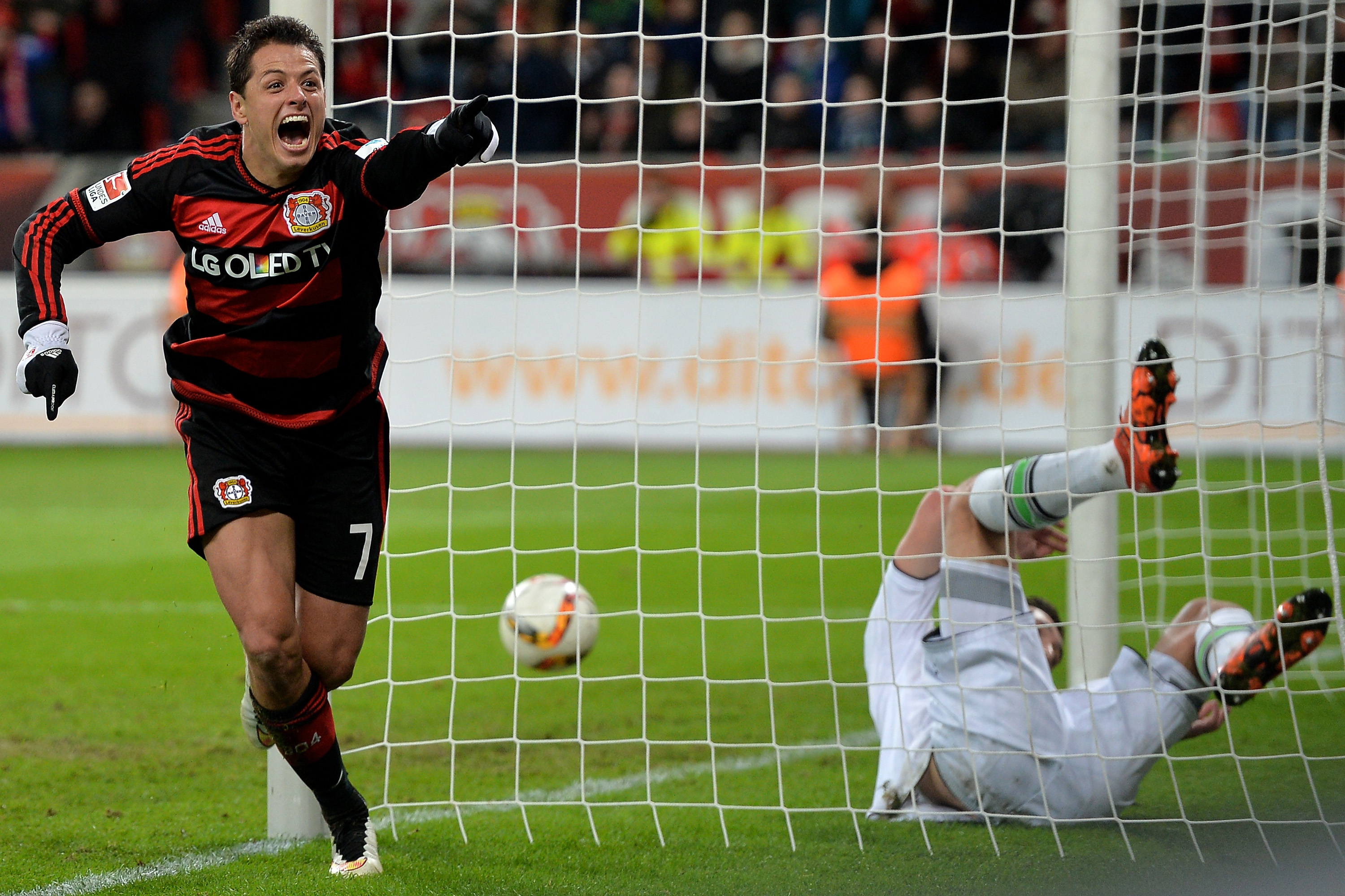  ‘Chicharito’ está al alza en Bayer; vive su mejor año