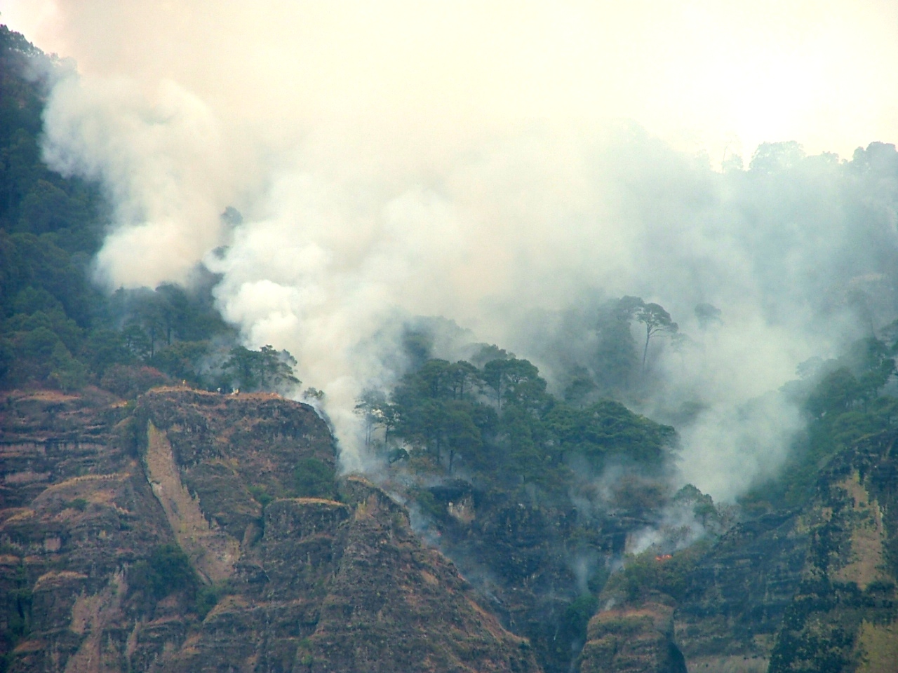  Localizan causante de incendio en Tepoztlán; el fuego, bajo control: Graco Ramírez