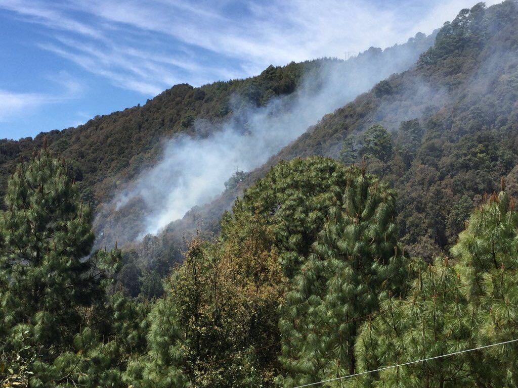  Incendio afecta zona de mariposa monarca en Morelia, Michoacán