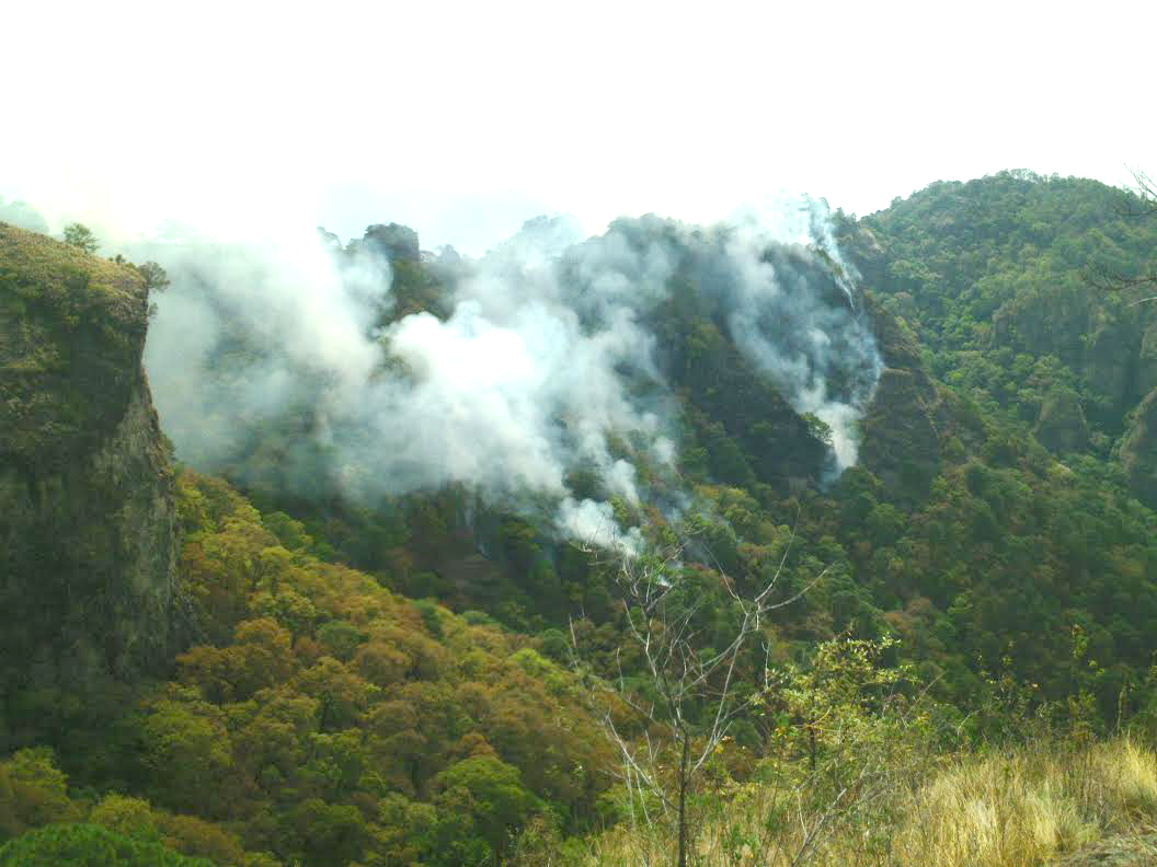  Identifican a responsable de fuego en Tepoztlán