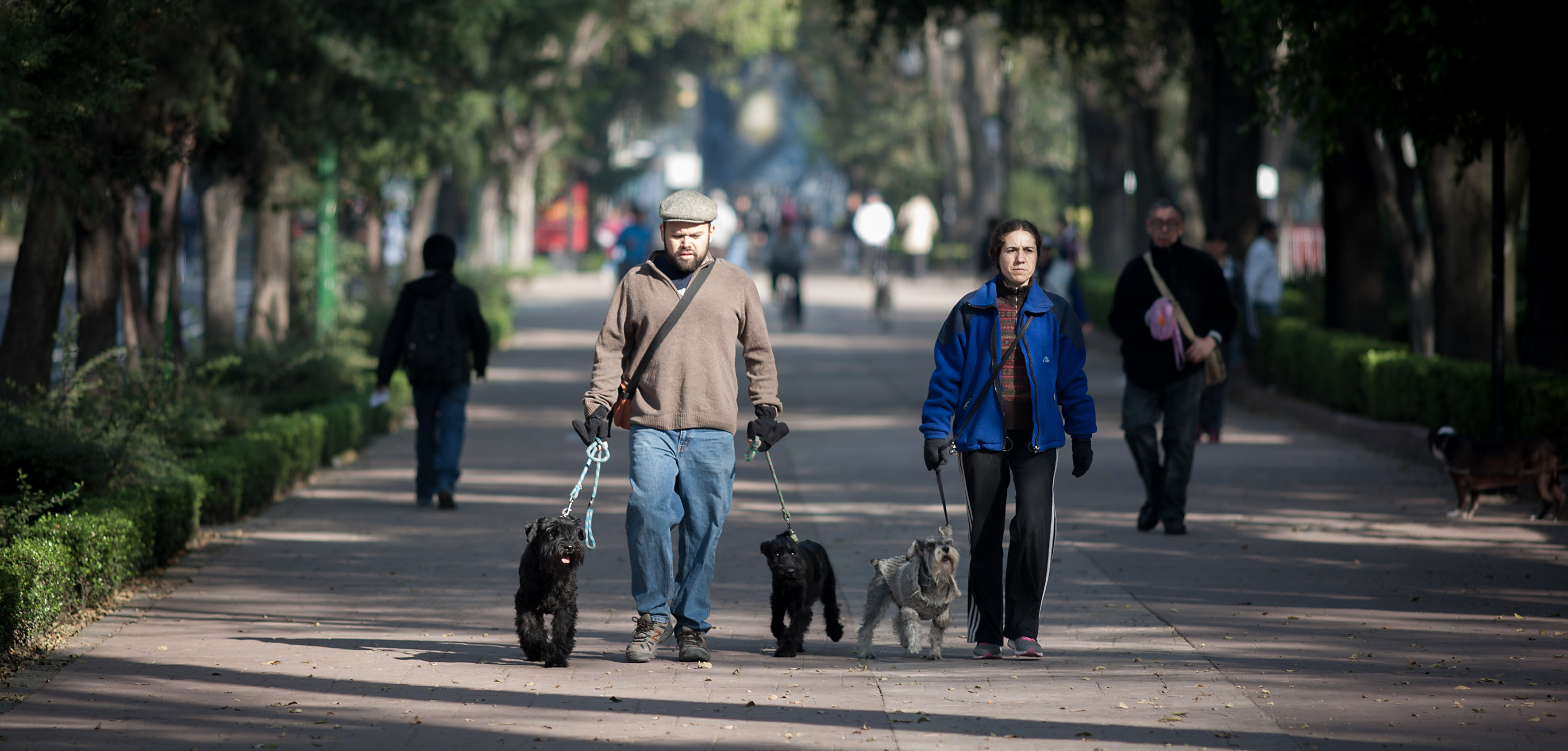  Frío y fuertes vientos en el norte por nuevo frente