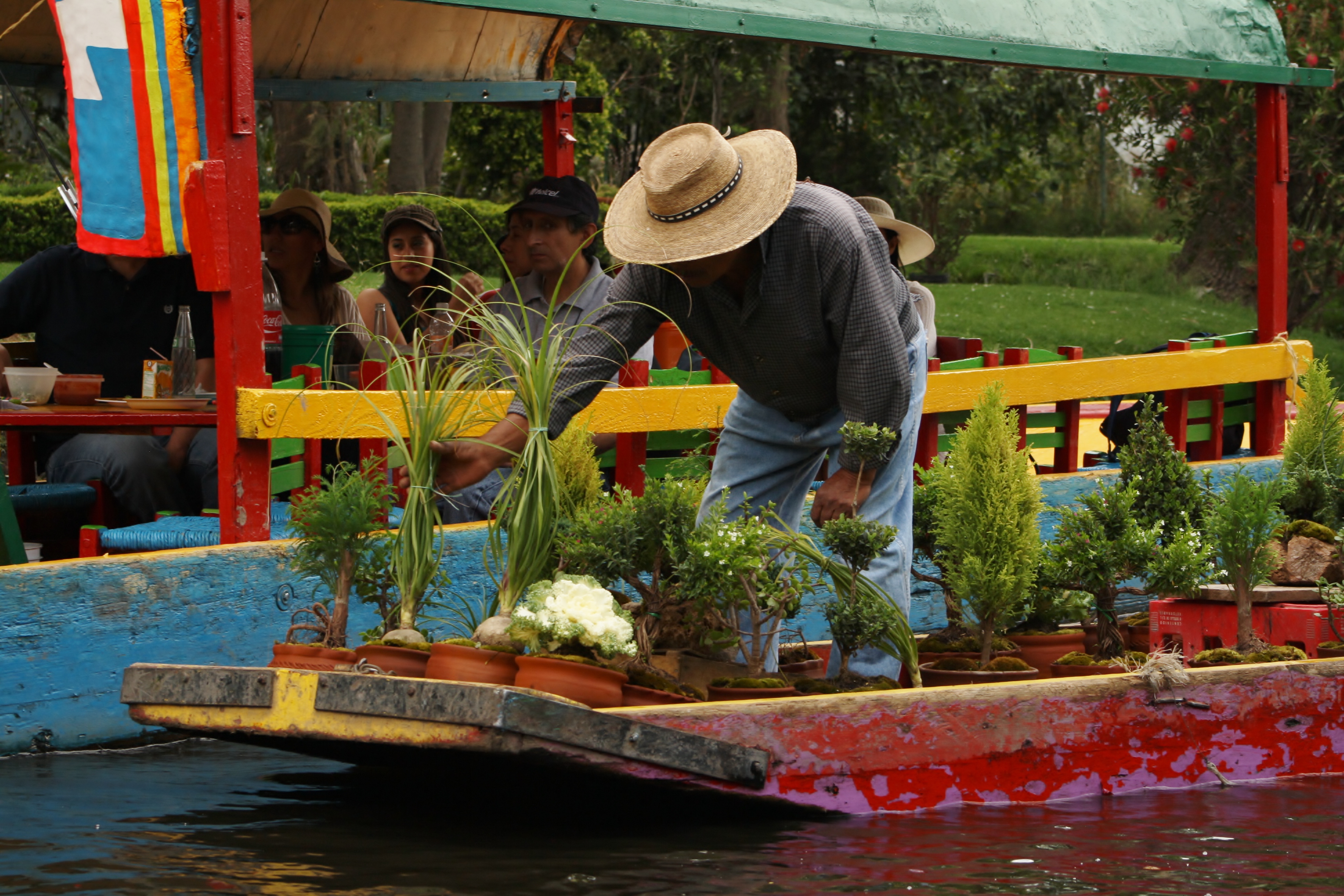  Chinampas mexicanas, una tradición en peligro