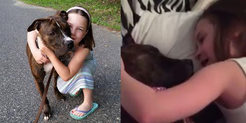  (Video) Enternece al Internet pequeña cantándole a su perro