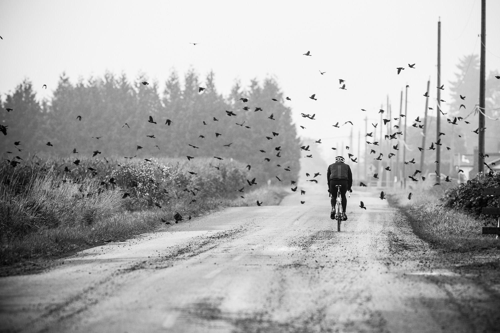  Bicicletas le ganan terreno a los automóviles