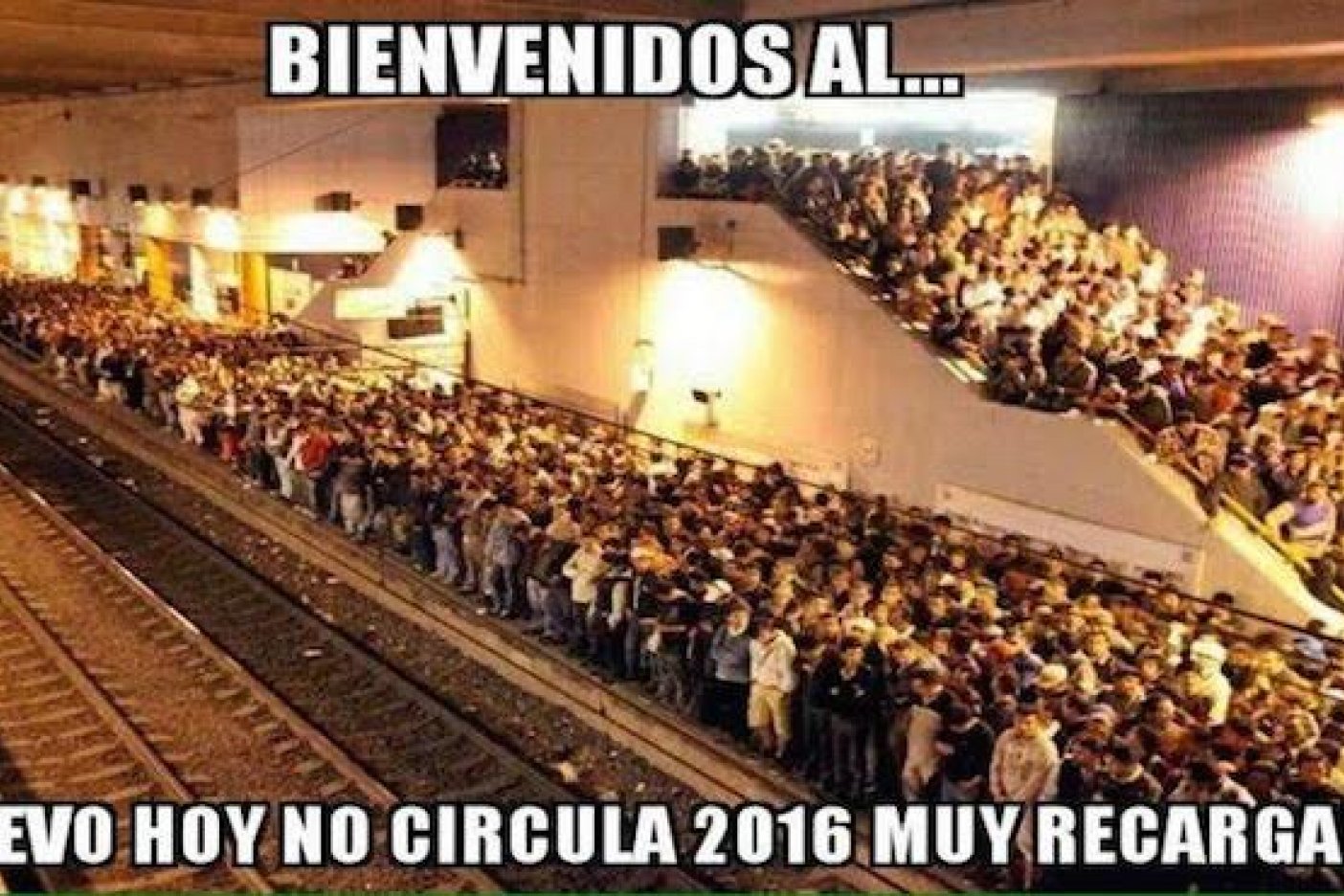  (Galería) Los memes por el nuevo ‘Hoy no circula’