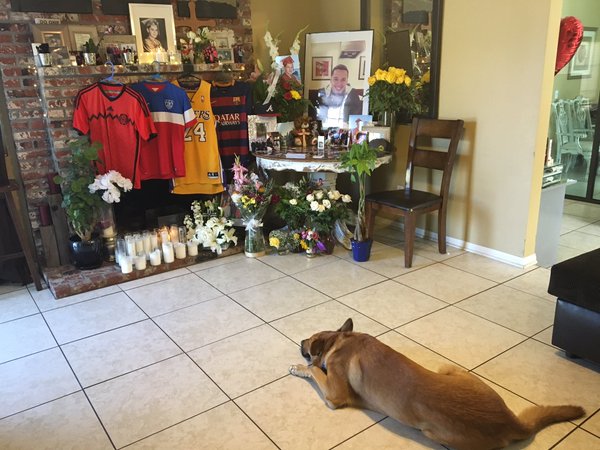  Conmueve imagen de perro que guarda duelo por su dueño fallecido