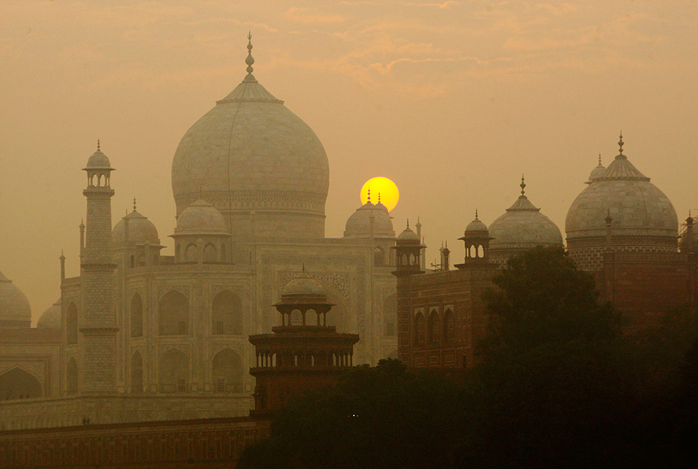  Peligra el Taj Mahal por plaga de insectos