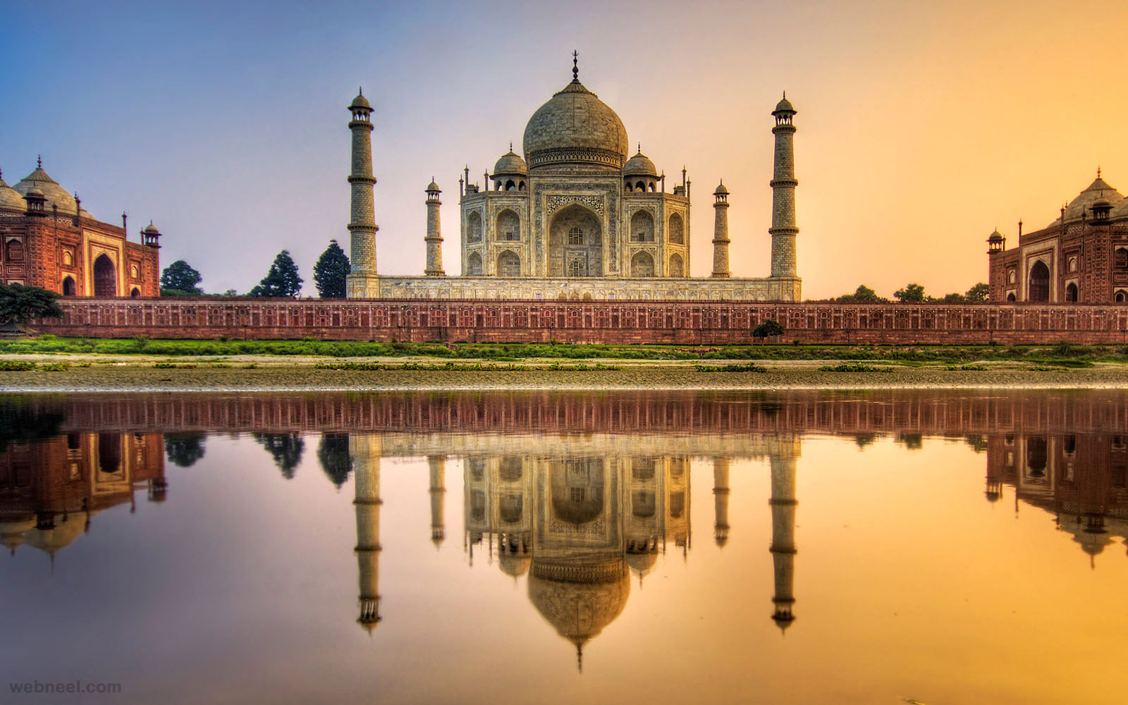  Taj Mahal sufre una plaga de insectos