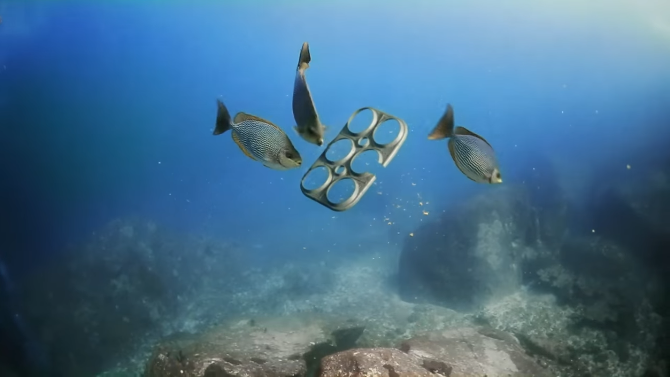  (Video) Red de Six Pack alimenta a animales marinos