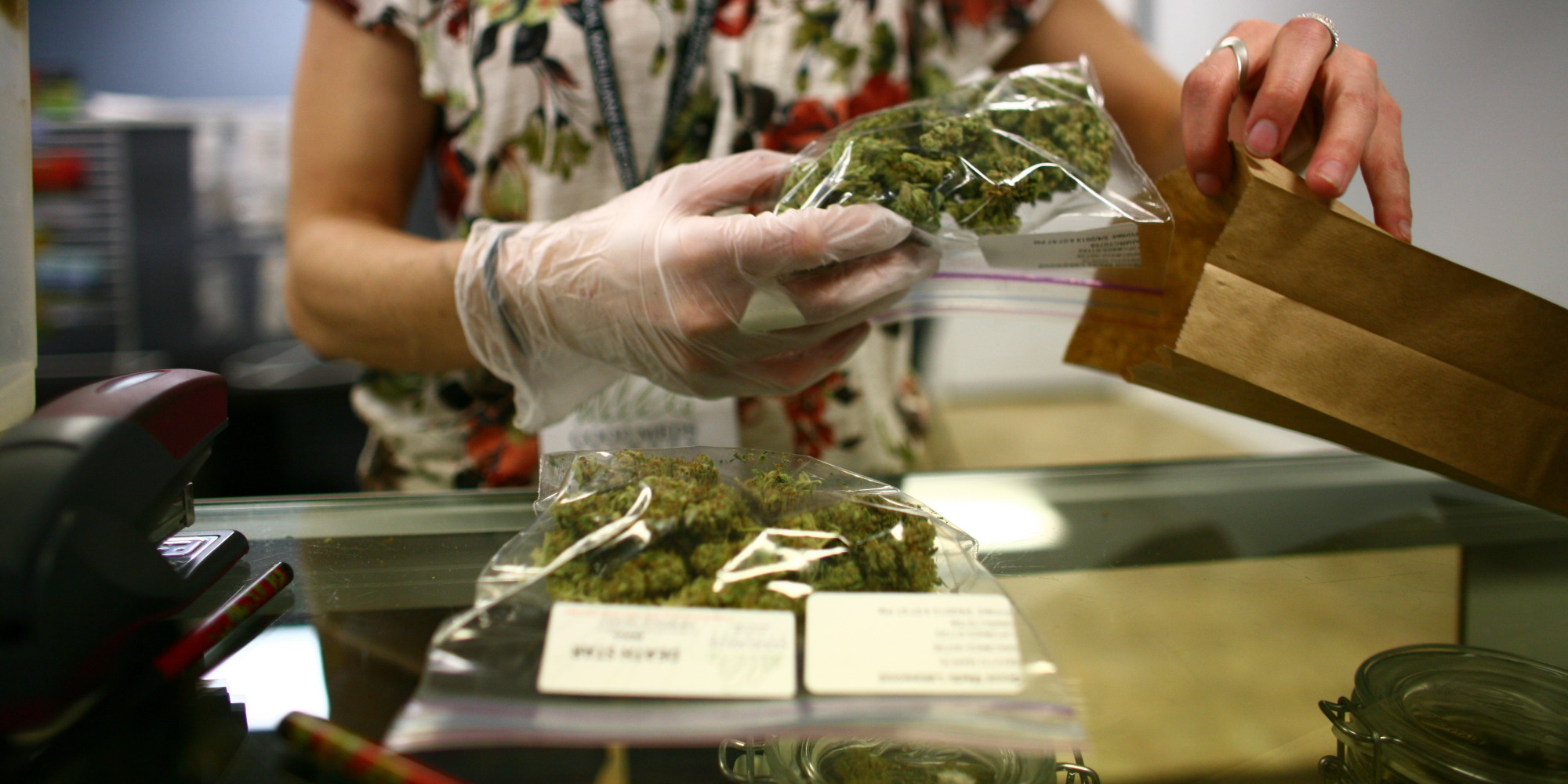  Cofepris, lista para autorizar el uso medicinal de marihuana