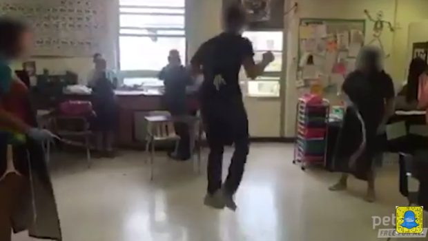  (Video) Alumnos saltan la cuerda… con intestinos de gato