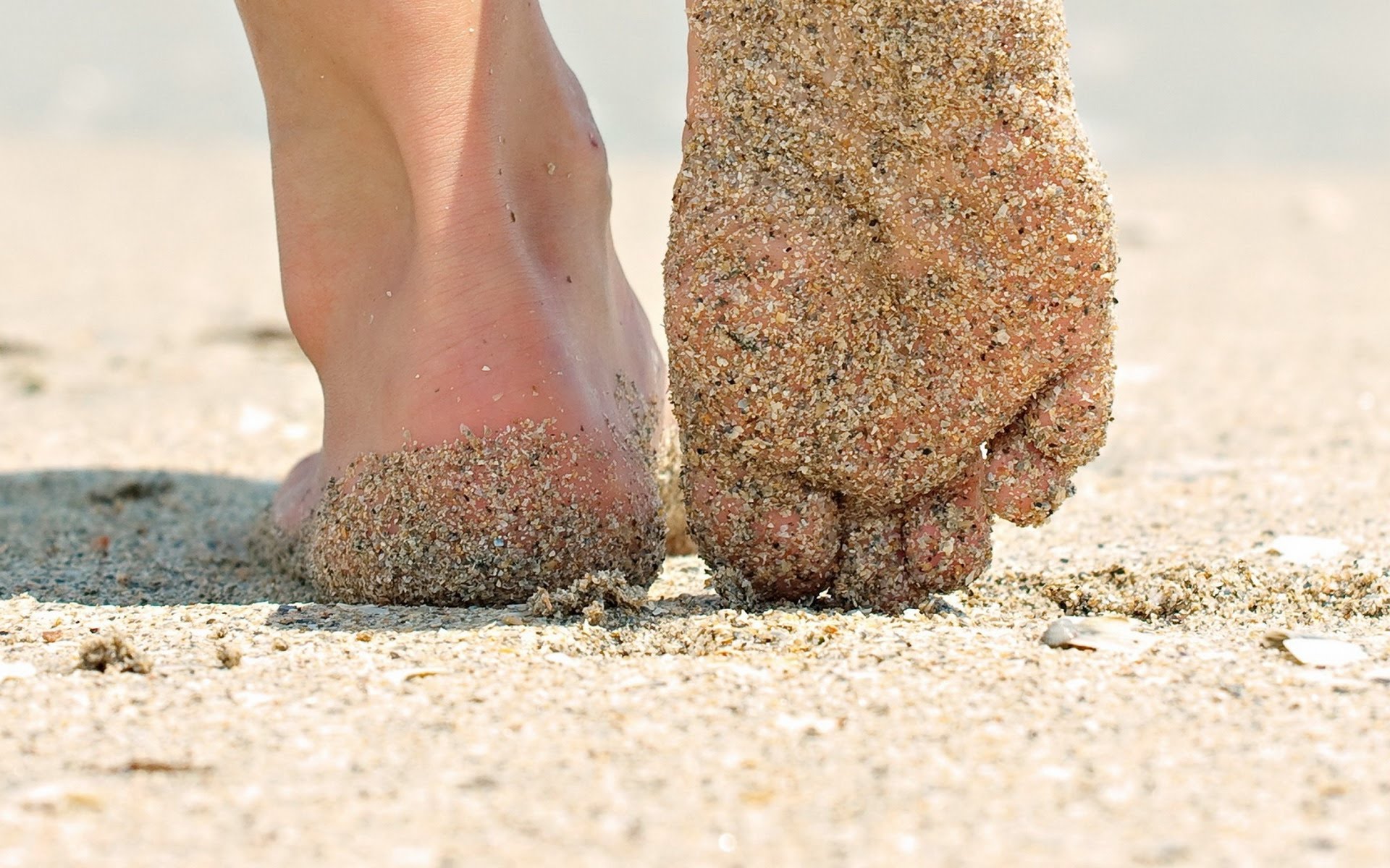  Revela estudio que correr descalzo reduce riesgo de lesiones
