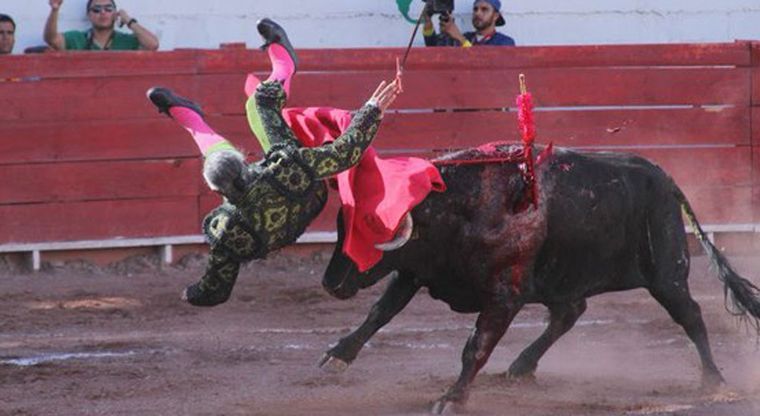  Impresionante cornada provoca fractura de vértebras a ‘El Pana’