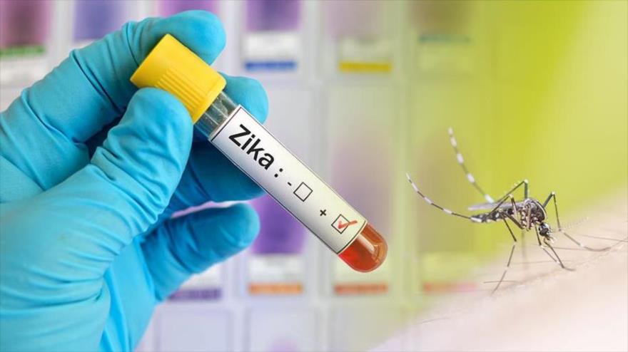  Con dos gotas de sangre, prueba revelará si padeces zika