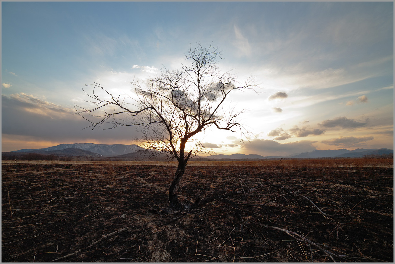  México carece de estudios y equipo para enfrentar cambio climático