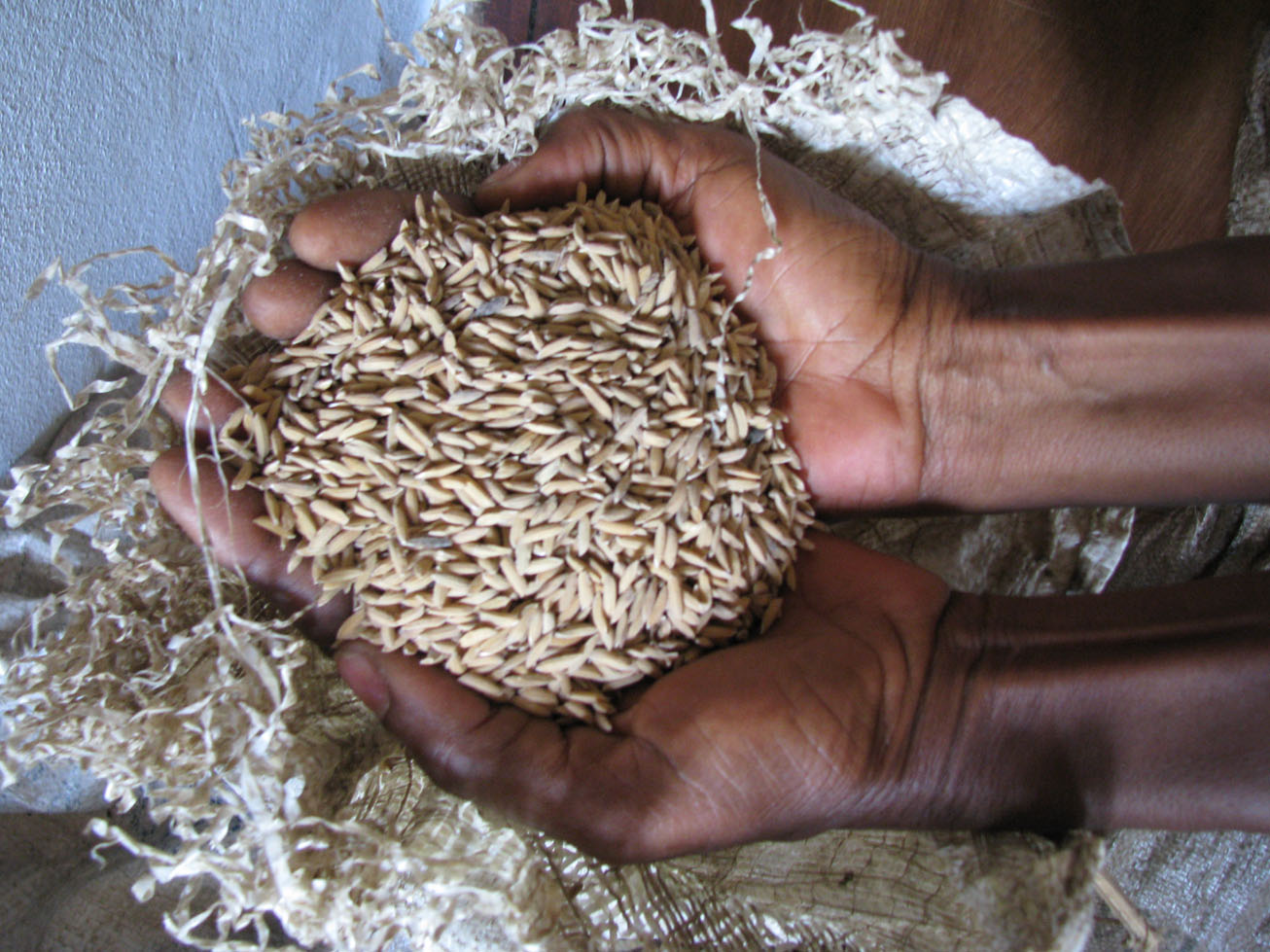  Hambruna aumenta en el Pacífico y el Caribe por los efectos de ‘El Niño’: FAO