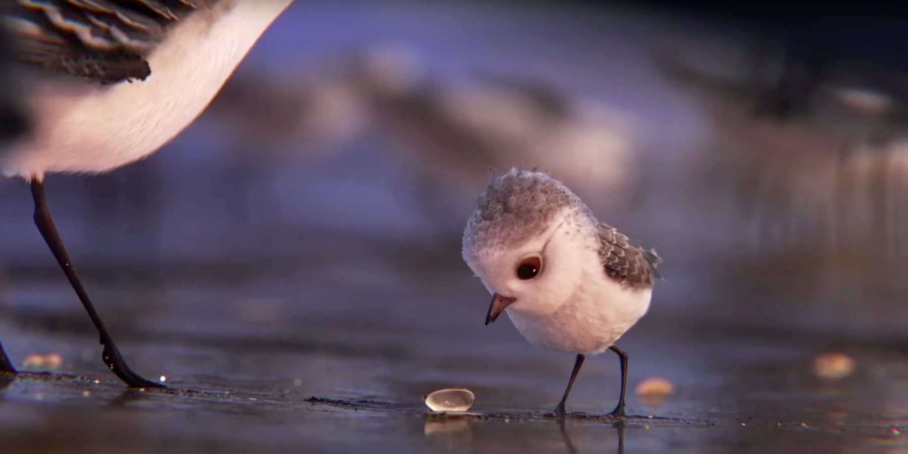  (Video) ‘Piper’ el último corto de Pixar que robará tu corazón