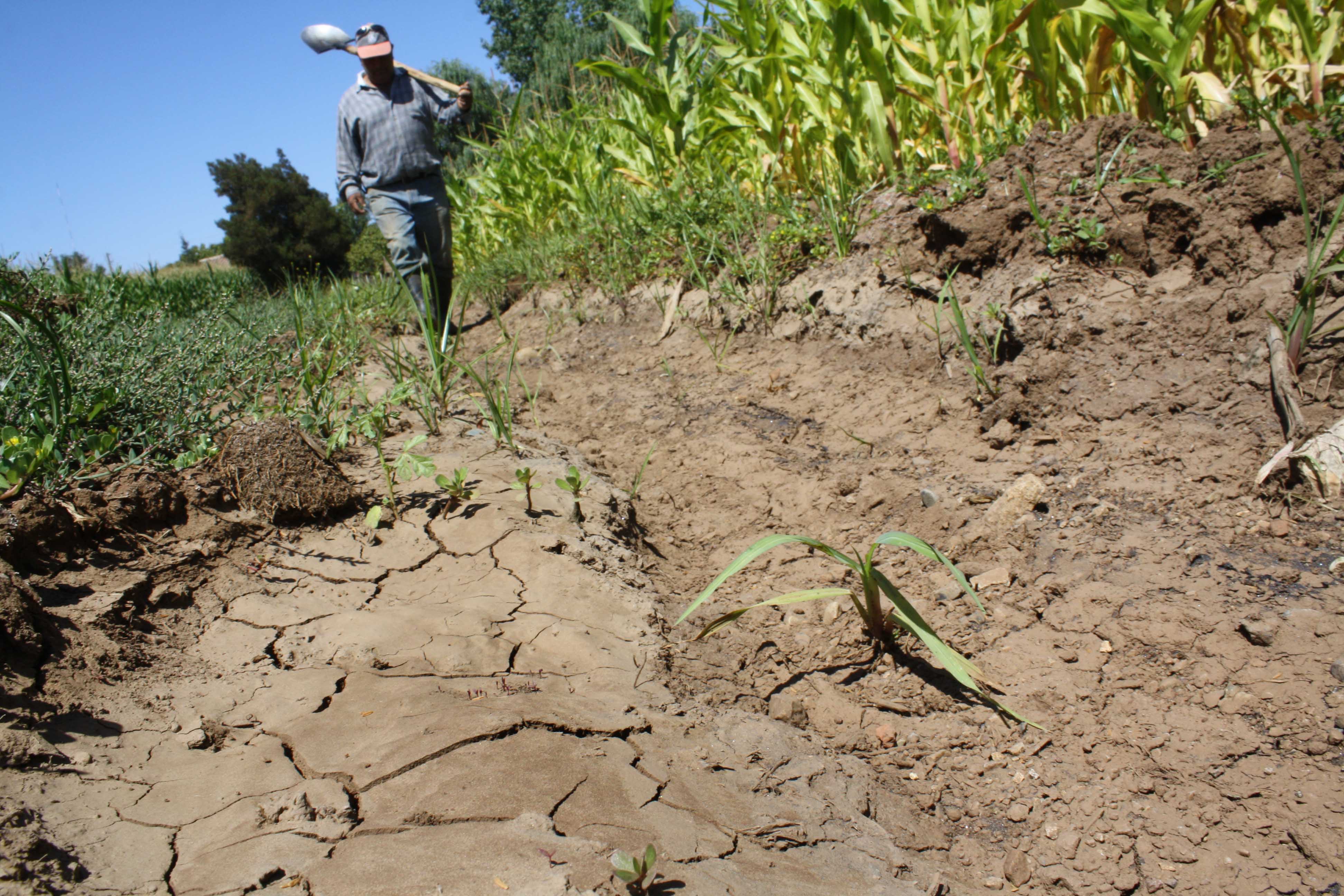  Declaran emergencia por sequía en diversas cuencas del país