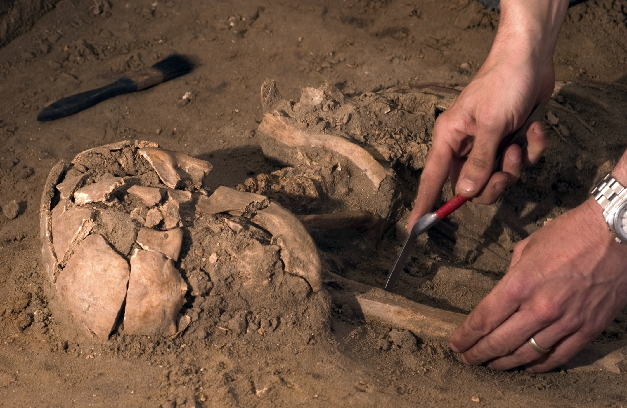  Encuentran cementerio de vampiros en Polonia