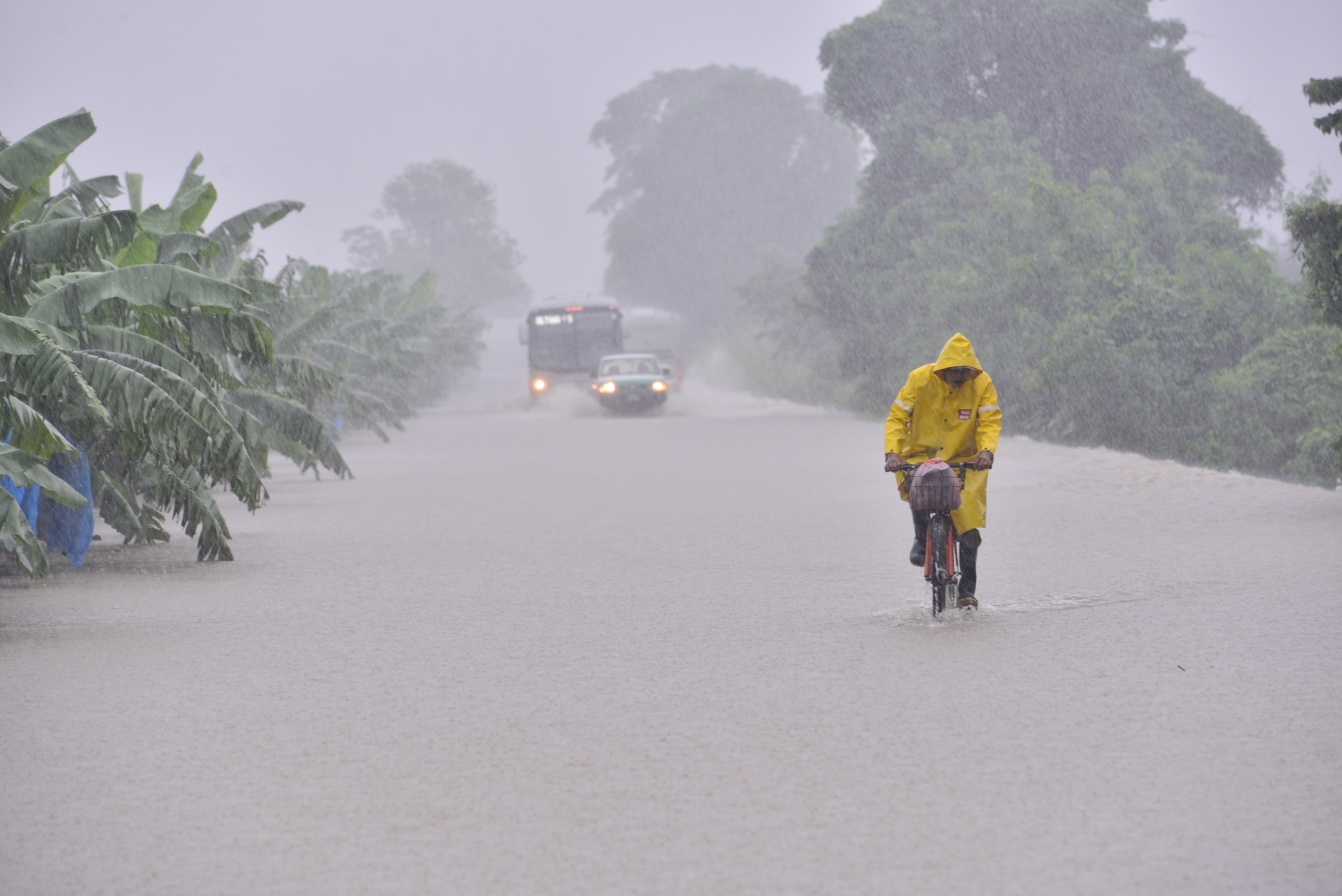  Prevén lluvias intensas en Chiapas, Oaxaca, Veracruz y Tabasco