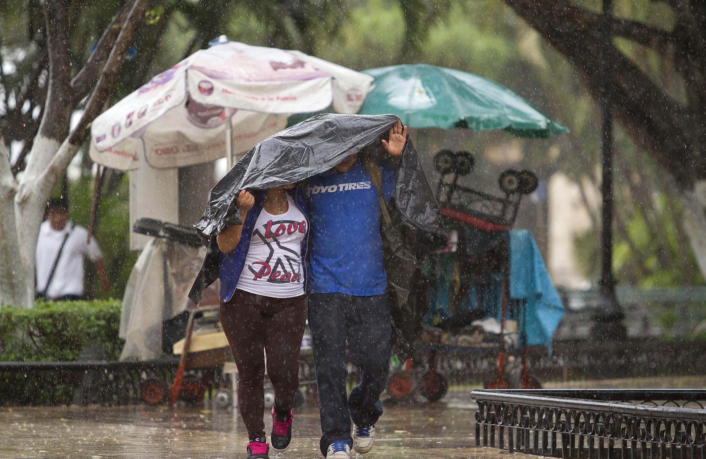  Persisten lluvias de fuertes a intensas en sureste del país