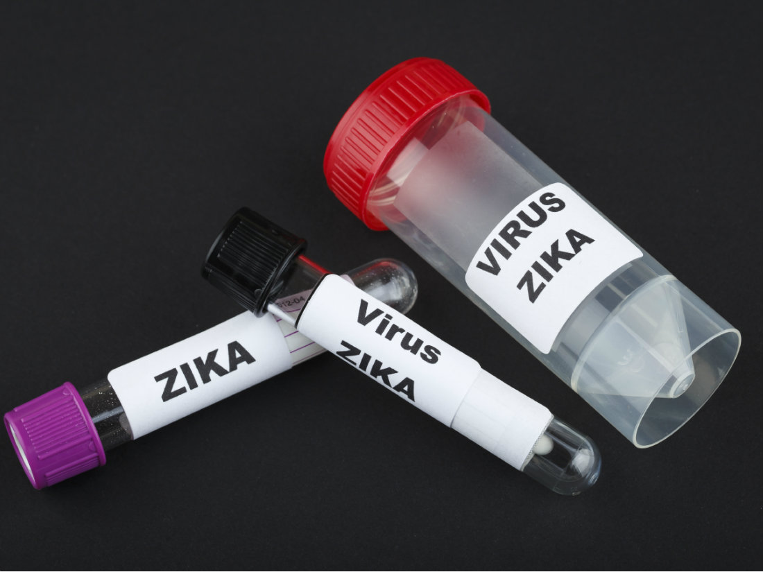  Desarrollan primeras vacunas contra el zika efectivas en animales