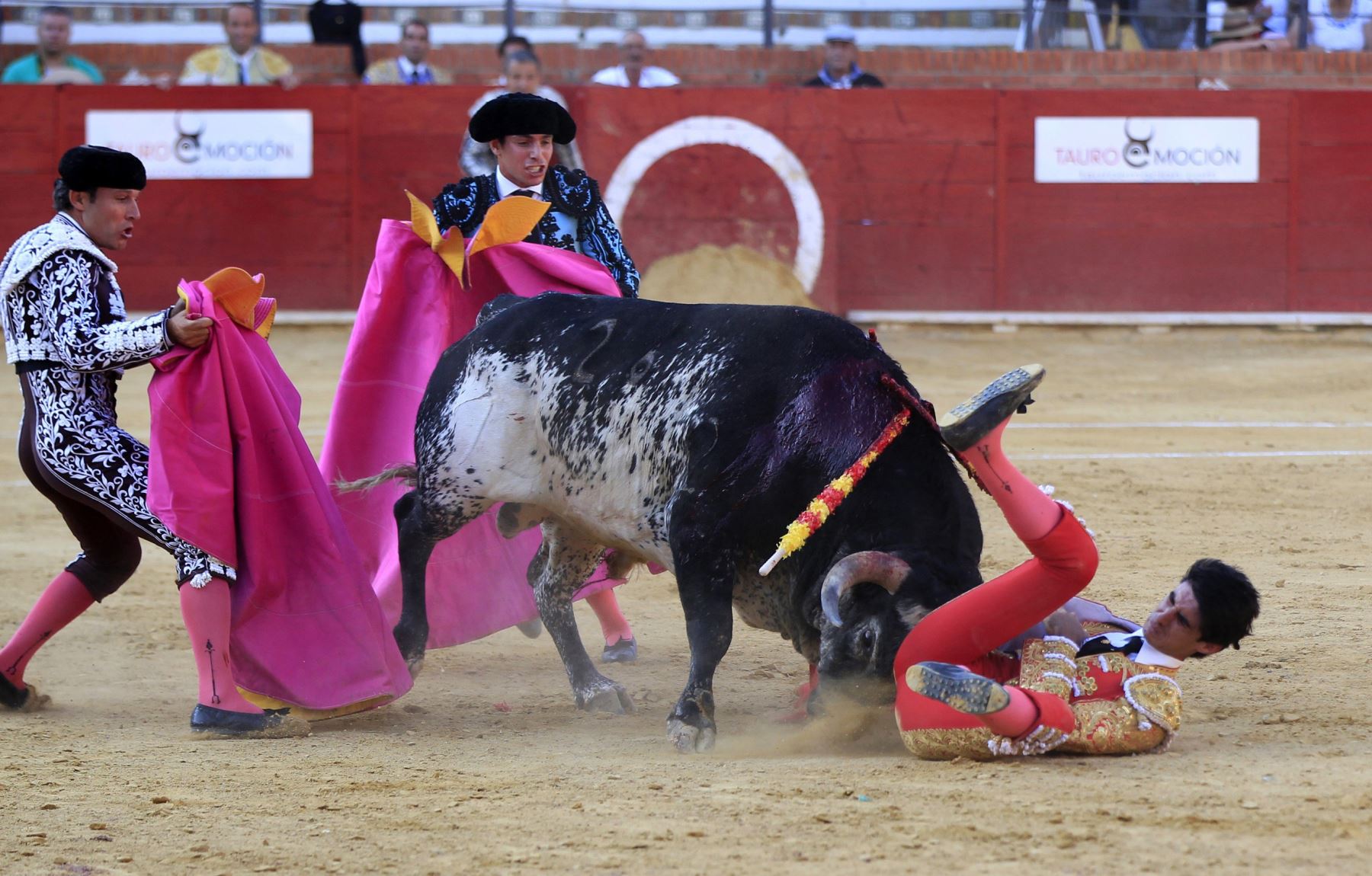  La cornada que le costó la vida al torero Víctor Barrio