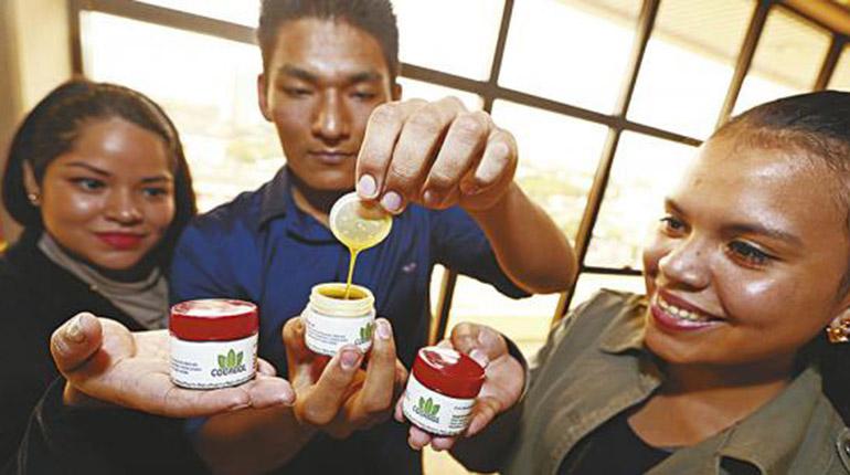  Crean en Bolivia gel de coca para aliviar dolores por chikungunya