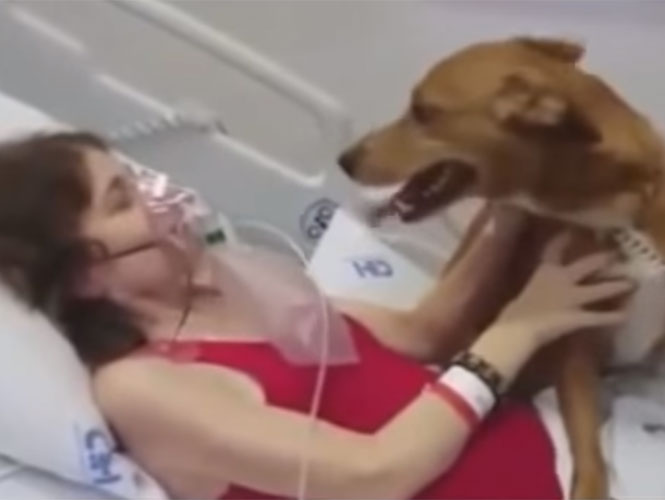  En conmovedor video, mujer en fase terminal pide despedirse de su mascota