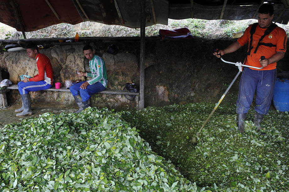  Perú, segundo en producción de cocaína