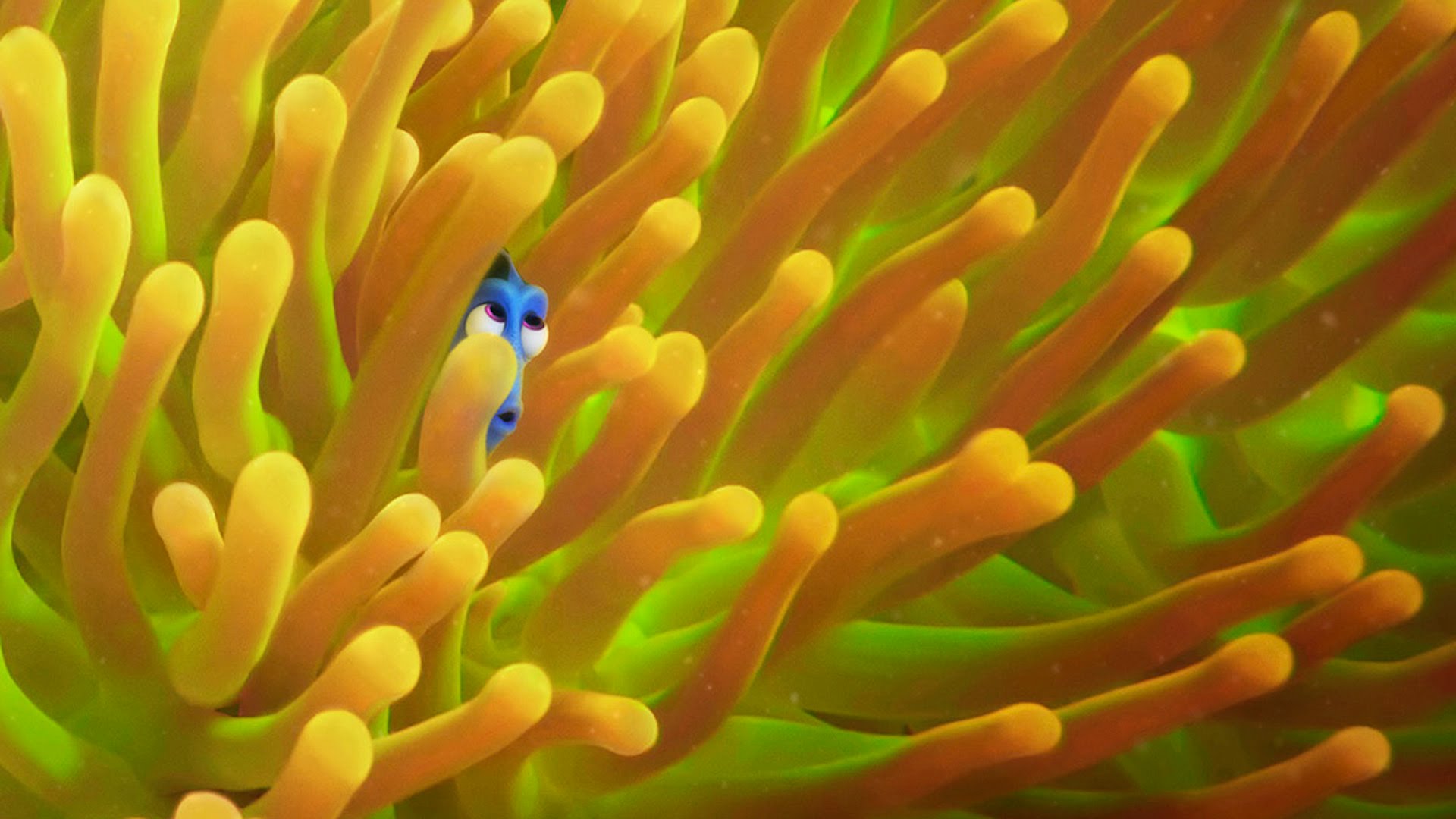  10 secretos de ‘Buscando a Dory’