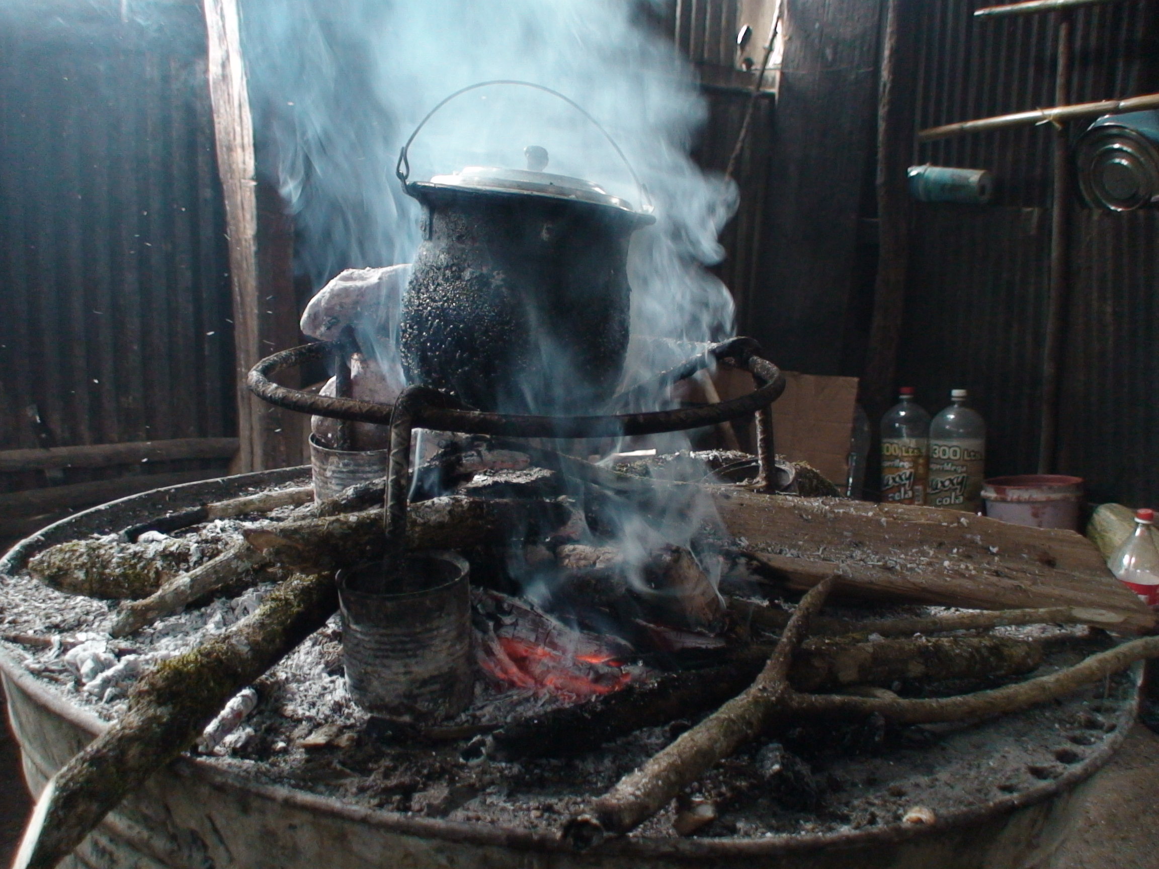  En México, 16 millones de personas aún cocinan con leña y carbón