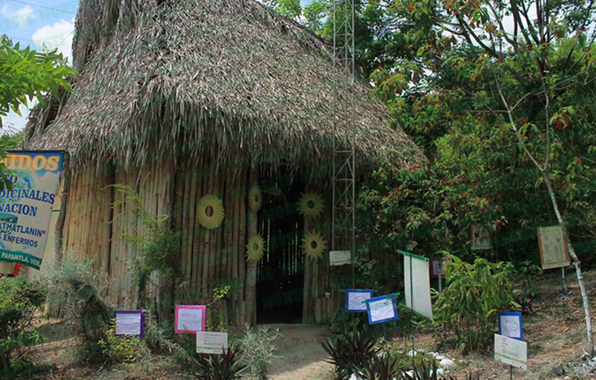  Inauguran huerto de medicina tradicional en Papantla