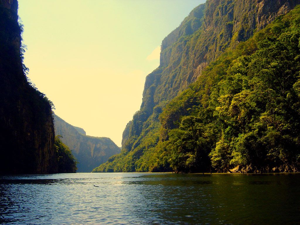  Adiós vacaciones: Chiapas y Oaxaca se quedan sin turistas por conflicto magisterial