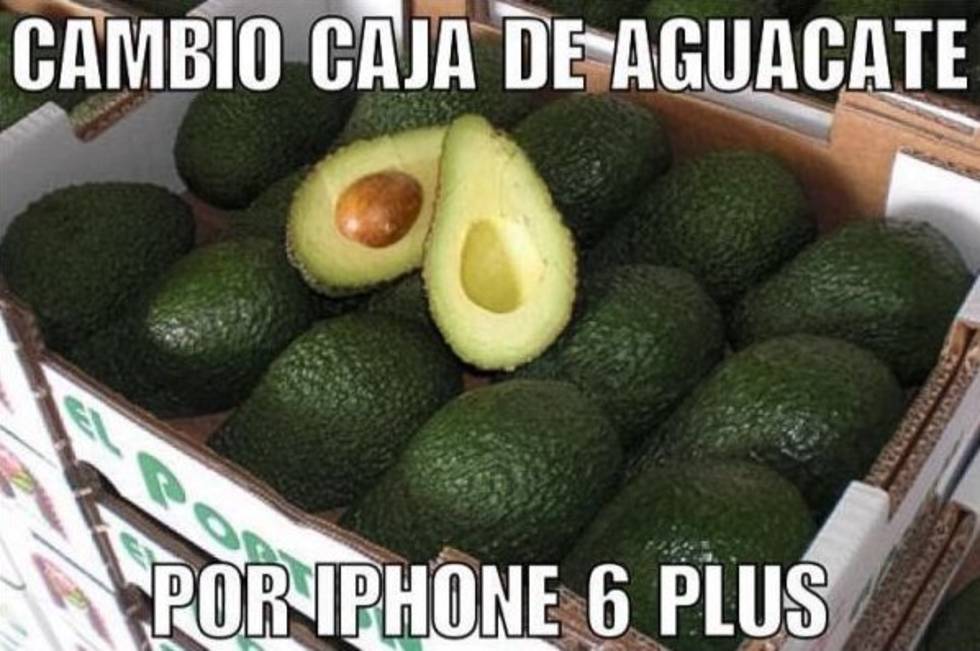  Se burlan en redes del precio del aguacate