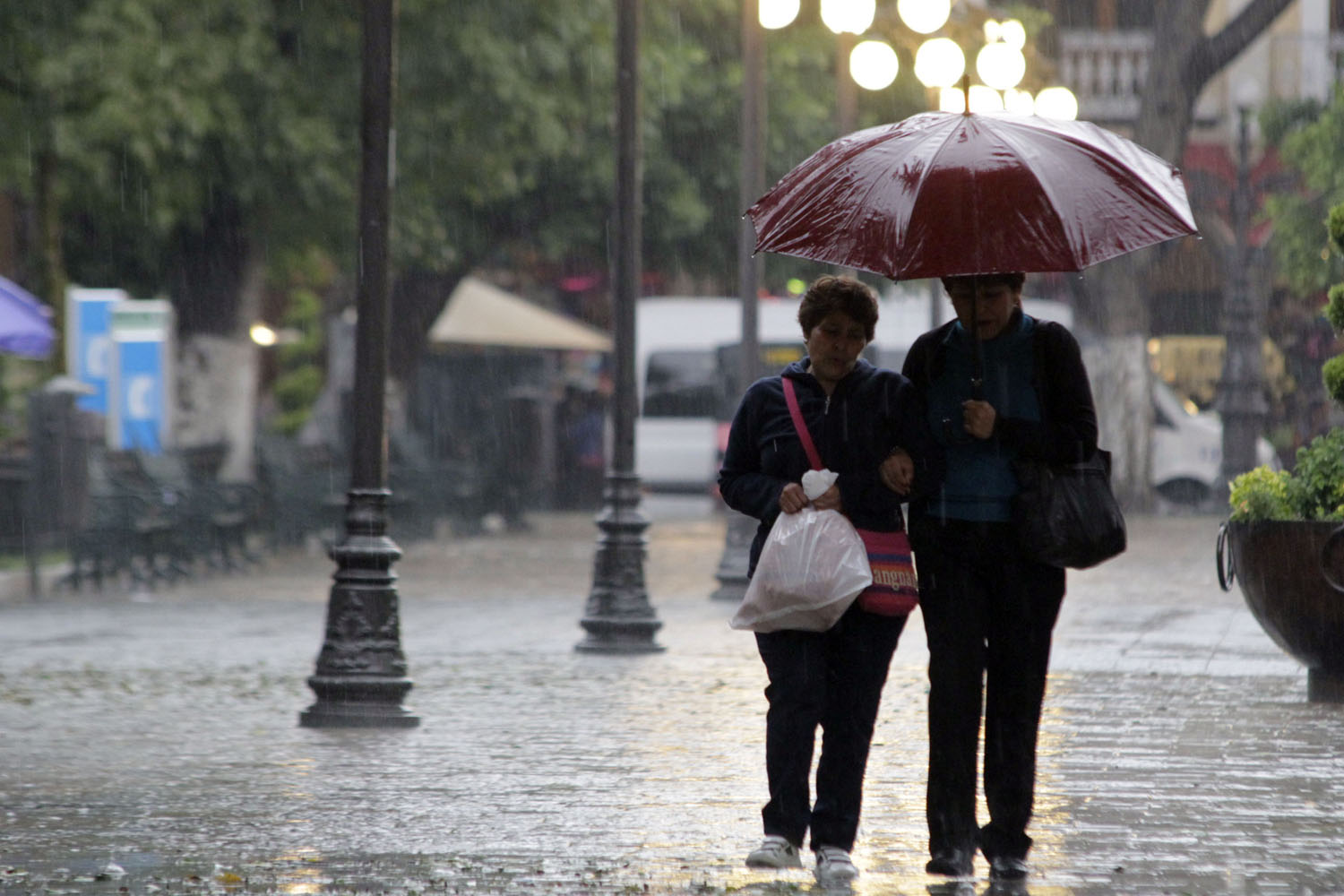  Veracruz, Oaxaca y Chiapas, lluvias fuertes este fin de semana