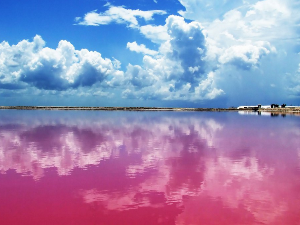  La laguna rosa de México