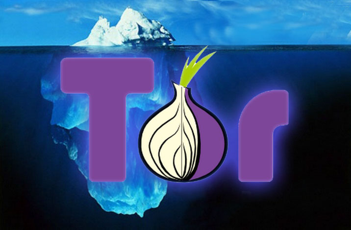 TOR, el oscuro mundo de la Deep Web