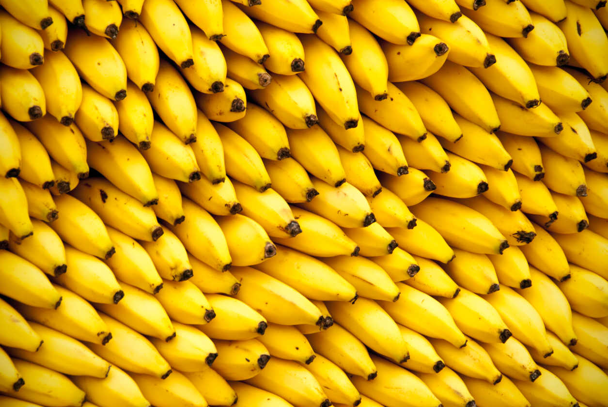  A base de cáscaras de plátano, mexicanos crean plástico más degradable