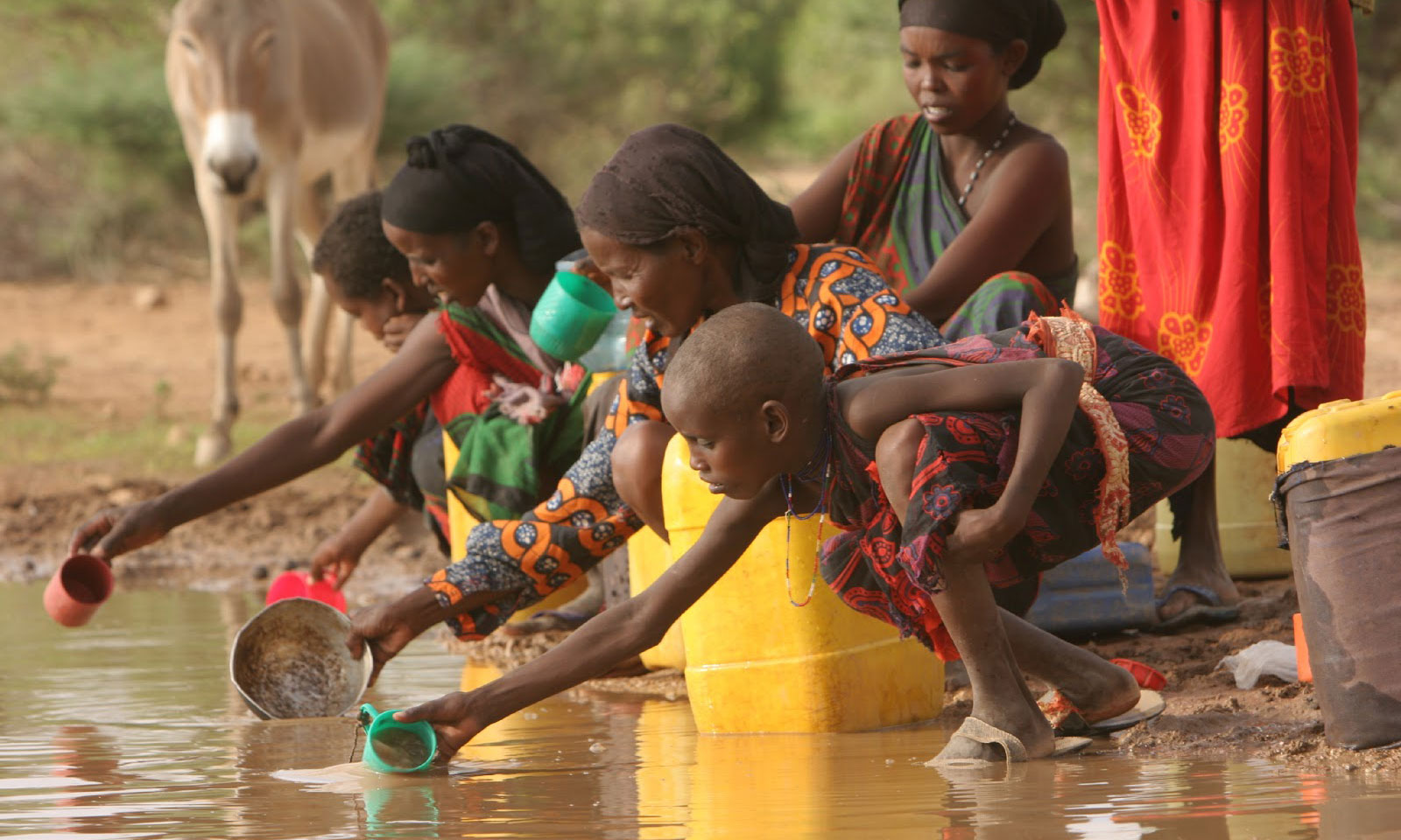  Por falta de fondos, ONU se ve obligada a cortar alimentos de 1.3 millones de niños en África