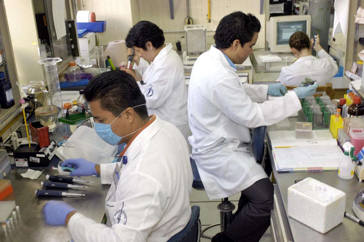  Académicos de UNAM crean fármacos experimentales para tratar cáncer