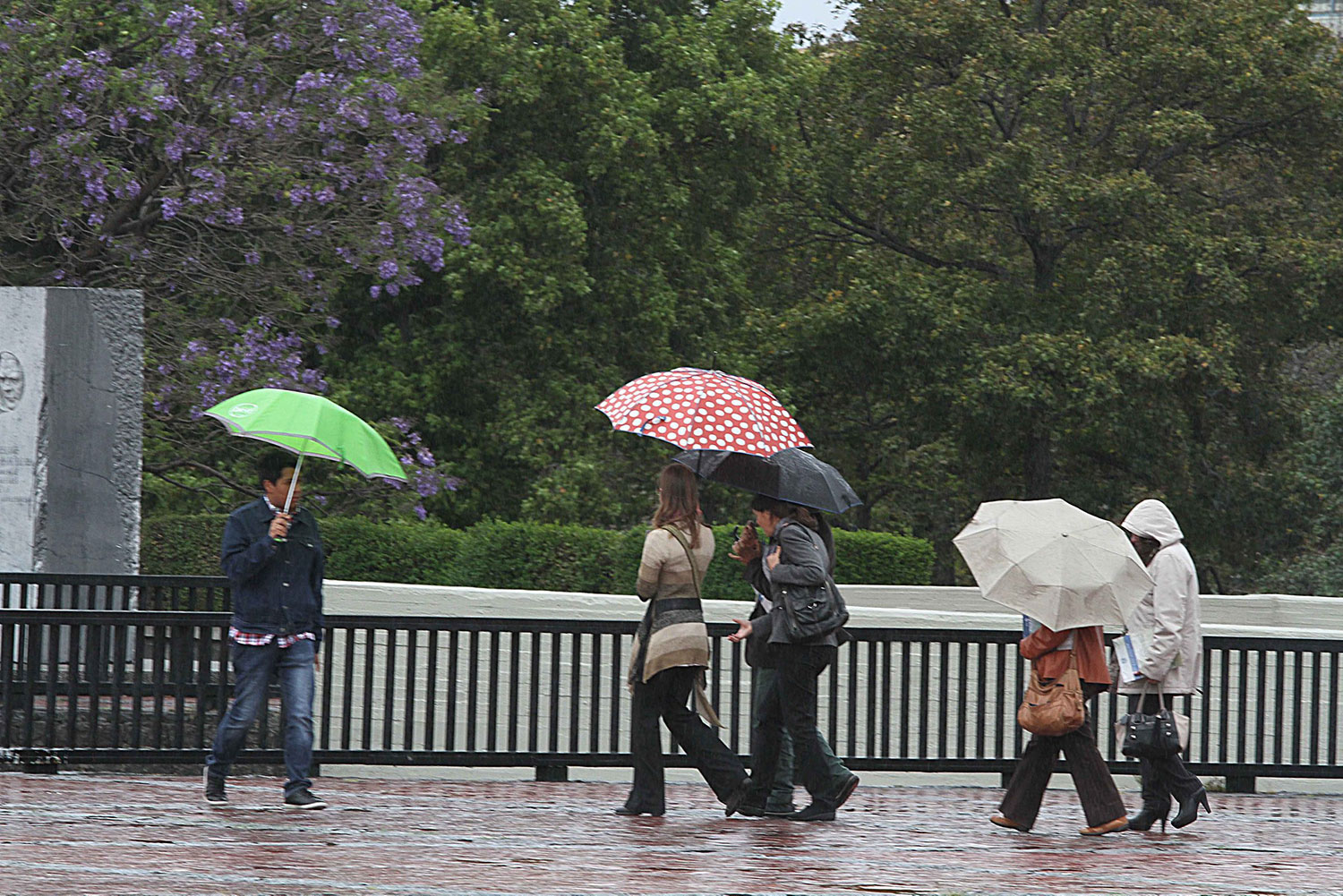  Prevalecen las lluvias en gran parte del país